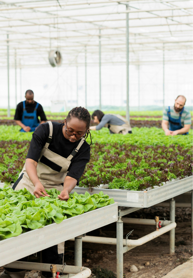 employees working in a green house